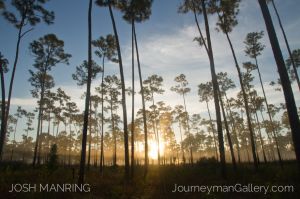 Josh Manring Photographer Decor Wall Arts - Florida Photography-163.jpg